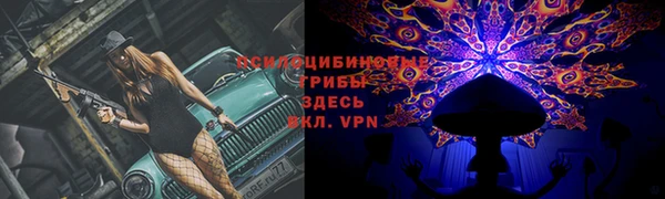 PSILOCYBIN Абинск