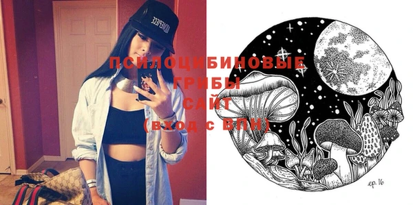 PSILOCYBIN Абинск