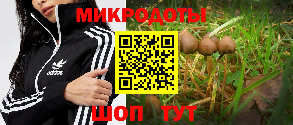 Псилоцибиновые грибы Psilocybine cubensis  Вход с VPN  Дятьково 